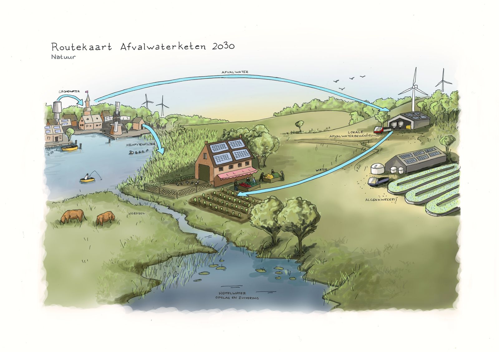 A watercolour roadmap of a rural landscape in 2030, its wastewater cycle linking farms, reed beds and housing.