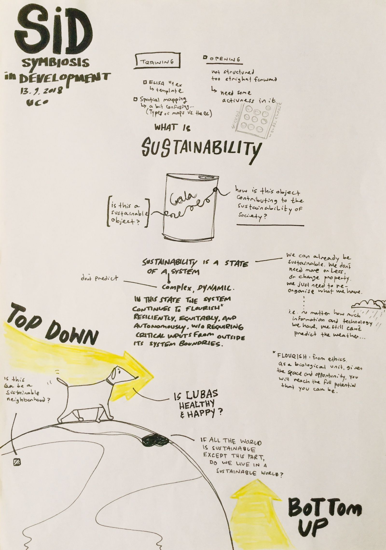 A hand-drawn sheet asking what sustainability is, working through top down and bottom up approaches around a globe.